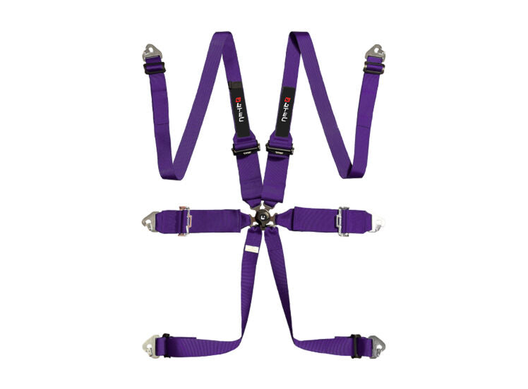 LTEC Magnum HANS Superlite 6-Point Harness